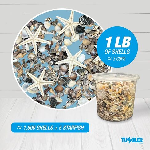 أكثر من 1500 صدفة بحرية و5 نجوم بحر، مزيج مثالي من الأصداف الصغيرة للحرف اليدوية أو حشو المزهرية أو ديكور زفاف الشاطئ، الأصداف البحرية الصغيرة رائعة للحرف اليدوية وصناعة الشموع وتزيين موضوع الشاطئ in Kuwait