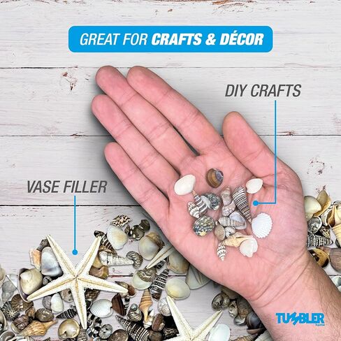 أكثر من 1500 صدفة بحرية و5 نجوم بحر، مزيج مثالي من الأصداف الصغيرة للحرف اليدوية أو حشو المزهرية أو ديكور زفاف الشاطئ، الأصداف البحرية الصغيرة رائعة للحرف اليدوية وصناعة الشموع وتزيين موضوع الشاطئ in Kuwait