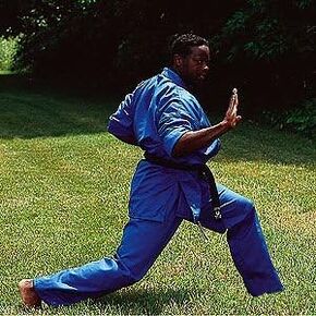 ProForce 6oz Student Karate Gi / Uniform - Blue - Size 00