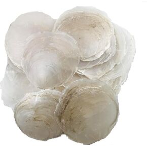 Heyiwell 30PC Round Capiz Shells with 2 Holes for Home Decor,Crafts,Wind Chimes 2" Inch
