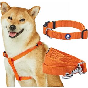 Blueberry Pet Essentials Matching Dog Collar and Leash Set in Lavender, Adjustable Classic Solid Color Nylon Collar with 5 ft Leash for Small Dogs