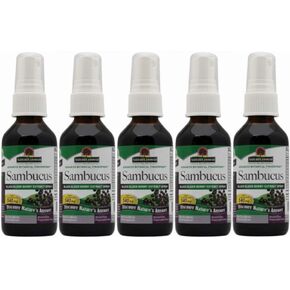 Nature's Answer Sambucus Elderberry Syrup Spray - 2 Fluid Ounces | Natural Immune Booster | Travel Friendly | Packed with Antioxidants | Great Tasting | Immune on The Go (2 Ounce (Pack of 5))