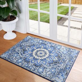 Boho Oriental Vintage Rug 5x7, Machine Washable Area Rugs for Living Room Bedroom, Non Slip Colorful Floral Rugs Indoor Door Mat for Kitchen Entryway Office Nursery Dining Room, Colorful