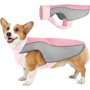 HEYWEAN Dog Cooling Vest Lightweight Dog Cooler Jacket Breathable Mesh Dog Cooling Shirts with Reflective Stripe for Beach Hiking Walking Blue Small