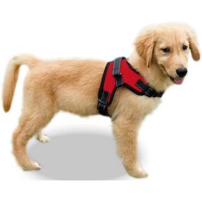 Best Dog Supplies Pet Harness - No Choke No Pull Dog Vest Harness Adjustable Breathable Soft Mesh Padding Super Comfy Puppy Dog Harness xs Easy Control Handle - Heavy Duty Pet Vest for Walking - xs