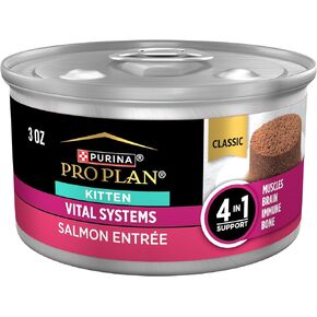 Purina Pro Plan Vital Systems Salmon Entree Wet Kitten Food 4-in-1 Muscles, Brain, Immune and Bone - (Pack of 24) 3 oz. Cans