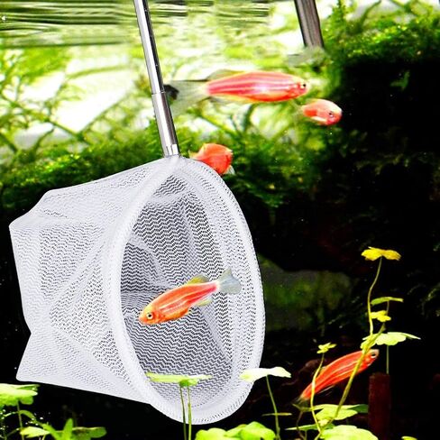 01 Fishing Net, Fishing Catch Net, Long Handled Fishing Net Retractable Fishing Net Telescoping for Fishes Crab Shrimps Lobster in Saudi Arabia