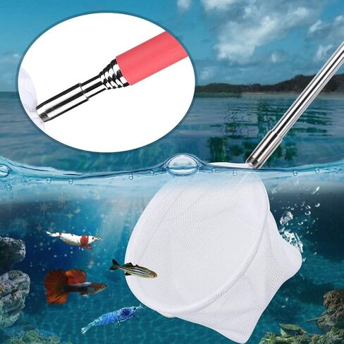 01 Fishing Net, Fishing Catch Net, Long Handled Fishing Net Retractable Fishing Net Telescoping for Fishes Crab Shrimps Lobster in Saudi Arabia