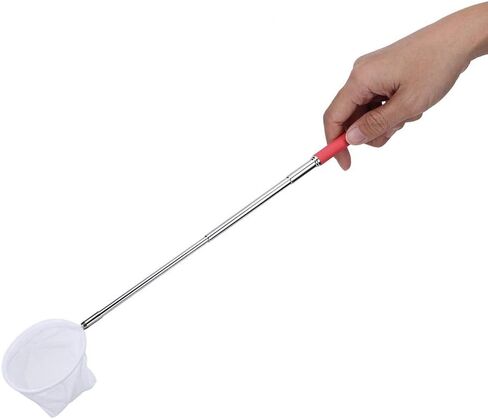 01 Fishing Net, Fishing Catch Net, Long Handled Fishing Net Retractable Fishing Net Telescoping for Fishes Crab Shrimps Lobster in Saudi Arabia