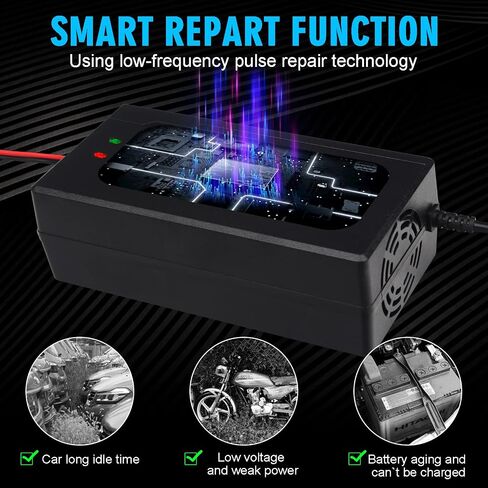 12V 10A LifePO4 Battery Charger 14.6V Smart Charger and Maintainer for LiFePO4 Lithium-Iron Deep Cycle Rechargeable Automotive Batteries in Saudi Arabia