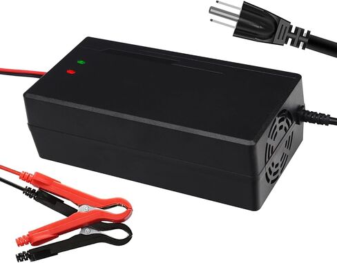 12V 10A LifePO4 Battery Charger 14.6V Smart Charger and Maintainer for LiFePO4 Lithium-Iron Deep Cycle Rechargeable Automotive Batteries in Saudi Arabia