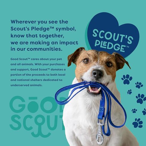 Good Scout Rubber Dental Ball & Cotton Rope Dog Toys for Tugging & Chewing, Best Dog Toy for Fetch, Aggressive Chew Toy for Puppies & Adult Dogs, No Stuffing Dog Toy for Medium & Large Dogs, 1.95-Inch in Saudi Arabia