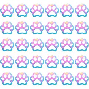 SUNNYCLUE 1 Box 30Pcs Paw Dog Charm Stainless Steel Paw Charm Cute Hollow Cats Dogs Animals Pet Charm Rainbow Color Paw Print Charm for Jewelry Making Charms DIY Bracelet Necklace Earrings Crafts