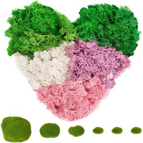 Warmtree 5 ألوان من الطحالب المحفوظة، 6 قطع 4 مقاسات من صخور الطحالب الاصطناعية المزخرفة، مزيج الطحالب 6.6 أونصة من طحالب الرنة الطبيعية كرات الطحلب الأخضر للحرف اليدوية وترتيبات الزهور والحدائق الخيالية in Kuwait