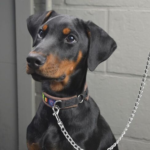 4ft Metal Dog Leash with Leather Handle Heavy Duty Dog Chain Leash Chew Proof Sturdy Training Pet Lead for Large Medium Dogs Black in Saudi Arabia
