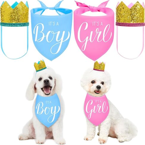 قطعتان من باندانا It's a Boy It's a Girl Dog Bandana لإعلان الطفل، باندانا للكلب وقطعتين من قبعة الكلب على شكل تاج للحيوانات الأليفة، دعائم صور للكلاب والقطط (أزرق، وردي) in Kuwait