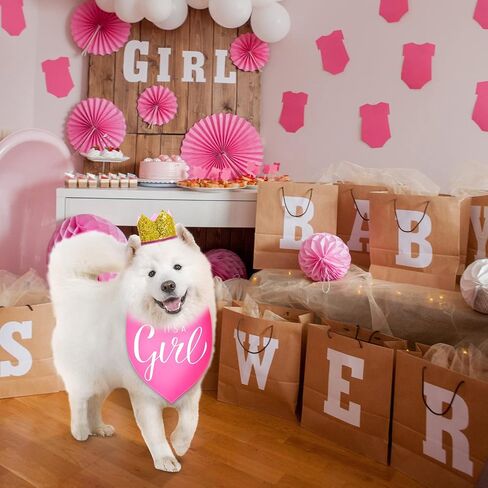 قطعتان من باندانا It's a Boy It's a Girl Dog Bandana لإعلان الطفل، باندانا للكلب وقطعتين من قبعة الكلب على شكل تاج للحيوانات الأليفة، دعائم صور للكلاب والقطط (أزرق، وردي) in Kuwait