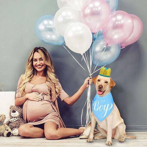 قطعتان من باندانا It's a Boy It's a Girl Dog Bandana لإعلان الطفل، باندانا للكلب وقطعتين من قبعة الكلب على شكل تاج للحيوانات الأليفة، دعائم صور للكلاب والقطط (أزرق، وردي) in Kuwait