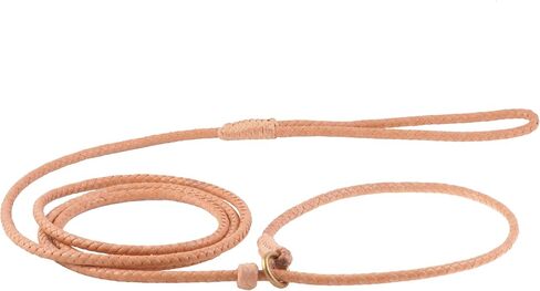 Alvalley Braided Leather Dog Leashes with Stopper - Pet Slip Leads for Dogs - Soft Gentle Leash - Adjustable for Small, Medium, Large & Extra Large Dogs (Black, 4ft Long, 3/16in Thick) in Saudi Arabia