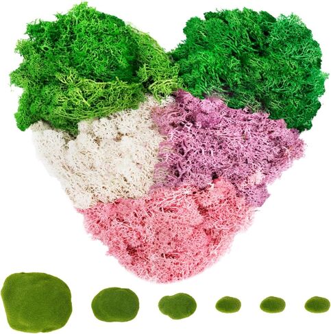 Warmtree 5 ألوان من الطحالب المحفوظة، 6 قطع 4 مقاسات من صخور الطحالب الاصطناعية المزخرفة، مزيج الطحالب 6.6 أونصة من طحالب الرنة الطبيعية كرات الطحلب الأخضر للحرف اليدوية وترتيبات الزهور والحدائق الخيالية in Saudi Arabia