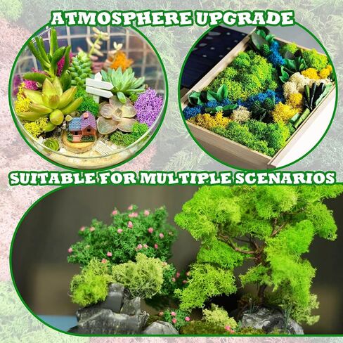 Warmtree 5 ألوان من الطحالب المحفوظة، 6 قطع 4 مقاسات من صخور الطحالب الاصطناعية المزخرفة، مزيج الطحالب 6.6 أونصة من طحالب الرنة الطبيعية كرات الطحلب الأخضر للحرف اليدوية وترتيبات الزهور والحدائق الخيالية in Saudi Arabia