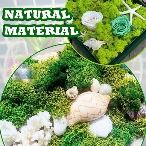 Warmtree 5 ألوان من الطحالب المحفوظة، 6 قطع 4 مقاسات من صخور الطحالب الاصطناعية المزخرفة، مزيج الطحالب 6.6 أونصة من طحالب الرنة الطبيعية كرات الطحلب الأخضر للحرف اليدوية وترتيبات الزهور والحدائق الخيالية in Saudi Arabia