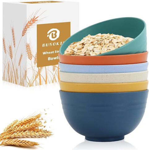 Unbreakable Cereal Bowls, 26 OZ Wheat Straw Bowls Set of 6, Microwave and Dishwasher Safe Kids Bowls for Kitchen, Lightweight Serving Bowls for Soup, Salad, Oatmeal (Multi Colors) in Saudi Arabia