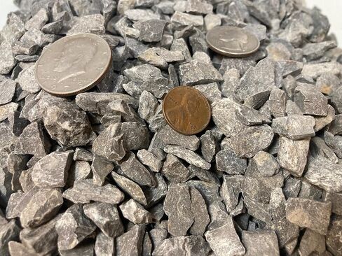 صخور رسوبية من الحجر الجيري تينيسي 5 رطل - صغير 1/2 بوصة متوسط ​​مطحون - جميع كربونات الكالسيوم الطبيعية لفصول العلوم، وحوض السمك، ومناظر طبيعية للفراش النباتي (5 رطل) in Kuwait