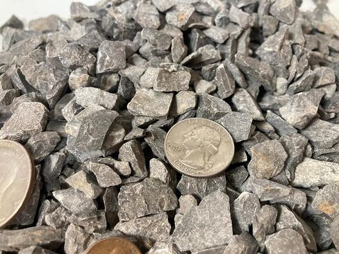 صخور رسوبية من الحجر الجيري تينيسي 5 رطل - صغير 1/2 بوصة متوسط ​​مطحون - جميع كربونات الكالسيوم الطبيعية لفصول العلوم، وحوض السمك، ومناظر طبيعية للفراش النباتي (5 رطل) in Kuwait