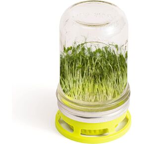 Jarware Tealight Holder for Regular Mouth Mason Jars