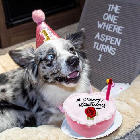 PET SHOW Dog Birthday Toy Cake Girl Heart Plush Dog Toys with Bell Inside for Small Medium Large Dog Boy Cats Puppies Party Supplies (Blue) in Saudi Arabia