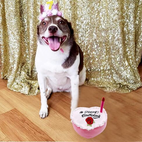PET SHOW Dog Birthday Toy Cake Girl Heart Plush Dog Toys with Bell Inside for Small Medium Large Dog Boy Cats Puppies Party Supplies (Blue) in Saudi Arabia
