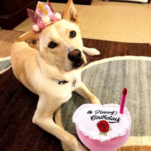 PET SHOW Dog Birthday Toy Cake Girl Heart Plush Dog Toys with Bell Inside for Small Medium Large Dog Boy Cats Puppies Party Supplies (Blue) in Saudi Arabia