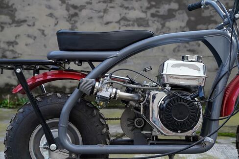 PWK24 Carburator مع مجموعة منحنيات متعددة الأداء لسباقات السباق منزلق Carb Kit لـ Predator 212cc GX200 Coleman Baja CT200U BT200X Mini Bike 196 Clones Engine، KT196 Go kart (Rage Red) in Saudi Arabia
