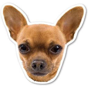 Chihuahua Dog Magnet by Magnet America is 4.5" x 4.875" Made for Vehicles and Refrigerators