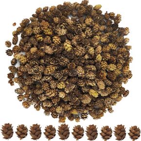 TIHOOD 320PCS 1.18"-1.97" Christmas Natural Mini Pine Cones in Bulk Christmas Natural Pinecones Ornaments for for DIY Crafts,Home Decoration,Fall and Christmas,Wedding Decor