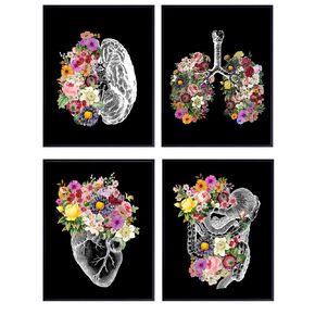Black Flower Organs - Anatomy Decor, Home Wall Art- Gift for Doctor, Nurse, Physicians Assistant, PA - Vintage Steampunk Posters for Dr Office - Heart, Lungs, Brain -8x10 UNFRAMED Photo Print Poster