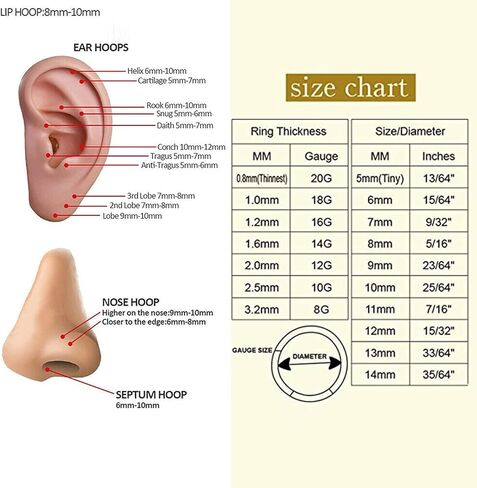 G23 التيتانيوم الحاجز الفرس 16 جرام الذهب يتوقف الأنف هوب الجزء خواتم 10 ملليمتر مكعب زركونيا الغضروف أقراط محارة Daith اللولب روك الزنمة الأذن هيئة ثقب المجوهرات in Kuwait