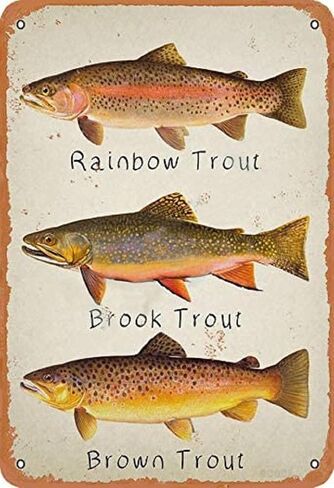Rainbow Trout Brook Trout Brown Trout Retro Metal Decor Wall Plaque Vintage Tin Sign for House Cafe Club Home Or Bar in Saudi Arabia
