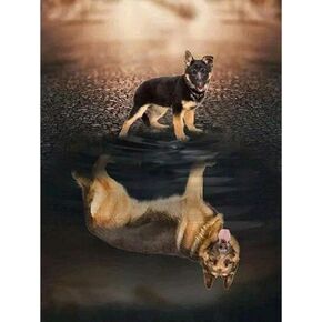 Cuorung DIY 5D Diamond Painting by Number Kits for Adults,Reflection Reflection German Shepherd,Full Round Drill Resin Rhinestone Embroidery Pictures Arts Craft for Home Wall Decor,20×30Cm No Frame