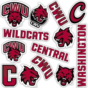 Desert Cactus Central Washington University Sticker Wildcats Wellington Vinyl Decals Laptop Water Bottle Car Scrapbook T2 (Type 2)