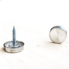 4 Piece 1'' Polished Silver Decorative Screw Covers Caps, 304 Stainless Steel Exposed Screw Head Covers with Washers for Artwork Furniture Indoor Use, Mirror Screws Covers