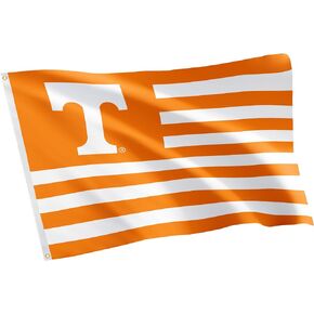 Desert Cactus University of Tennessee Flag Knoxville Volunteers Vols UT Flags Banners 100% Polyester Indoor Outdoor 3x5 (Nation)