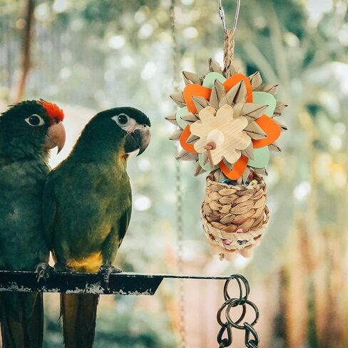 LUOZZY Bird Shredder Toys Foraging Hanging Toy Parrot Cage Chewing Toys for Small Medium Parrot Finch Conure Lovebirds (Hanging Basket) in Saudi Arabia