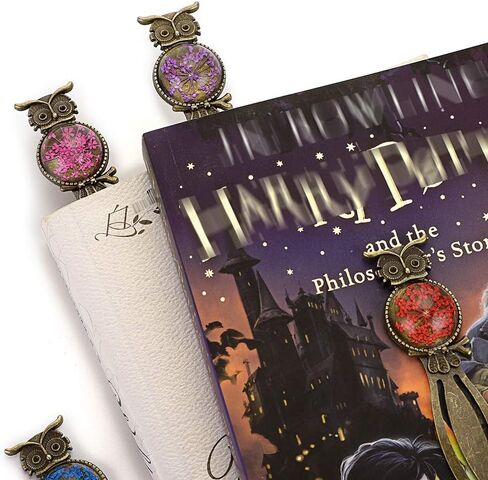 مجموعة OWNMY مكونة من 6 مشابك معدنية للإشارة المرجعية، ومشابك مسطرة لإشارة البومة العتيقة، وعلامات كتاب الزهرة البرونزية مع زهرة مجففة عتيقة، وعلامة صفحة كتاب مرجعية معدنية أنيقة للطلاب، والأطفال، والمعلم، ونادي الكتب in Kuwait