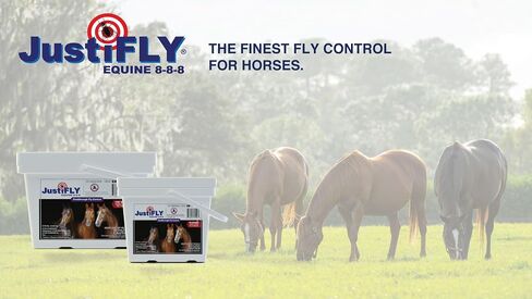 Equine 8-8-8 Feedthrough Fly Control for Horses (5 lb) in Saudi Arabia