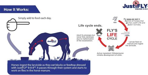 Equine 8-8-8 Feedthrough Fly Control for Horses (5 lb) in Saudi Arabia