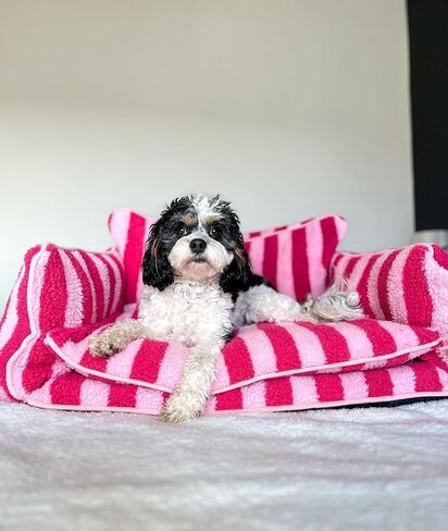 Black and White Striped Pet Bed for Dogs up to 60lbs, Cute Sofa Dog Bed, Size 47.24" x 27.55" x 15.75" (Black/White, XX-Large) in Saudi Arabia
