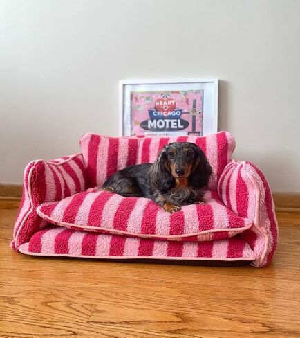 Black and White Striped Pet Bed for Dogs up to 60lbs, Cute Sofa Dog Bed, Size 47.24" x 27.55" x 15.75" (Black/White, XX-Large) in Saudi Arabia
