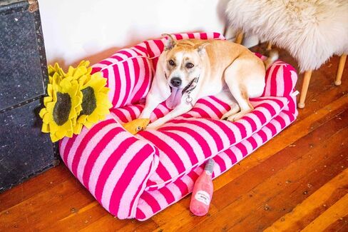 Black and White Striped Pet Bed for Dogs up to 60lbs, Cute Sofa Dog Bed, Size 47.24" x 27.55" x 15.75" (Black/White, XX-Large) in Saudi Arabia